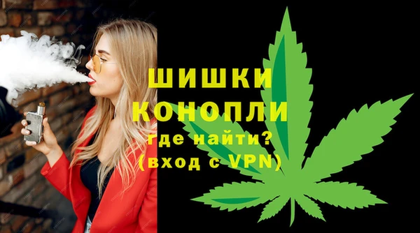 ПСИЛОЦИБИНОВЫЕ ГРИБЫ Балабаново