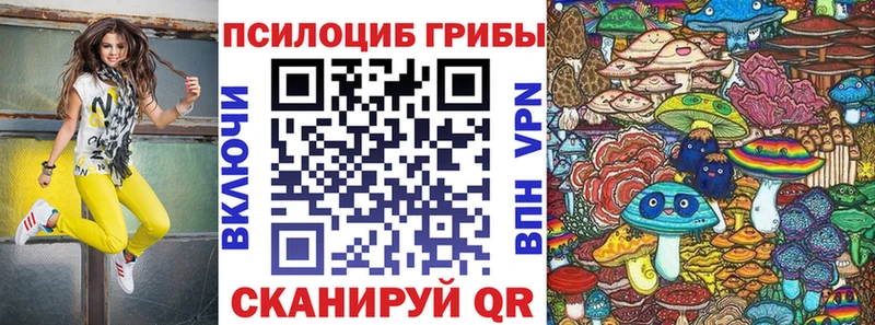 даркнет сайт нарко площадка какой сайт Галлюциногенные грибы ЛСД Заречный
