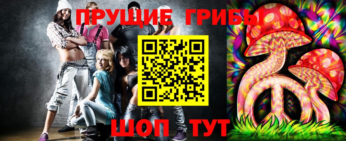 Псилоцибиновые грибы ЛСД  Вход с VPN  Заречный  Галлюциногенные грибы Psilocybe 
